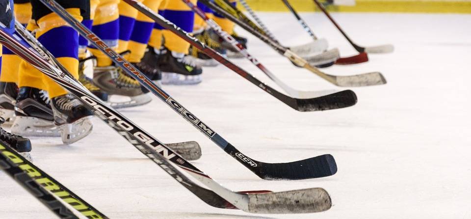 Hockeyspelare näthatat för förlusten mot Finland