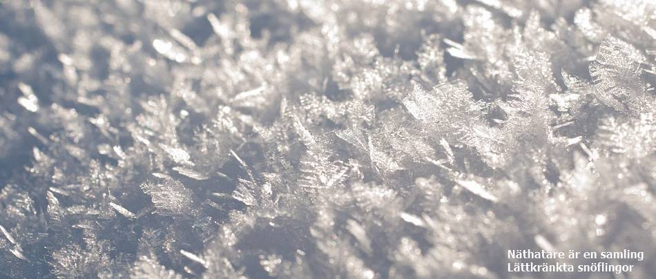 näthatare är lättkränkta snöflingor